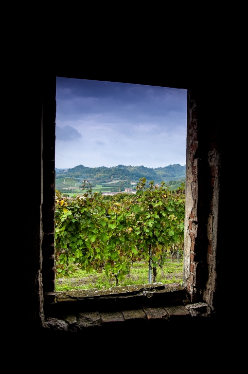 Finestra sul Roero
