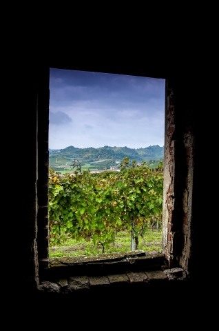 Finestra sul Roero · varacallifrancesco