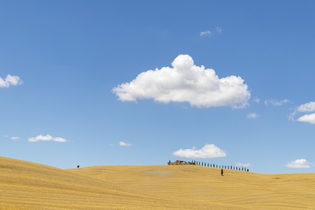 Tipico paesaggio della Val D Orcia