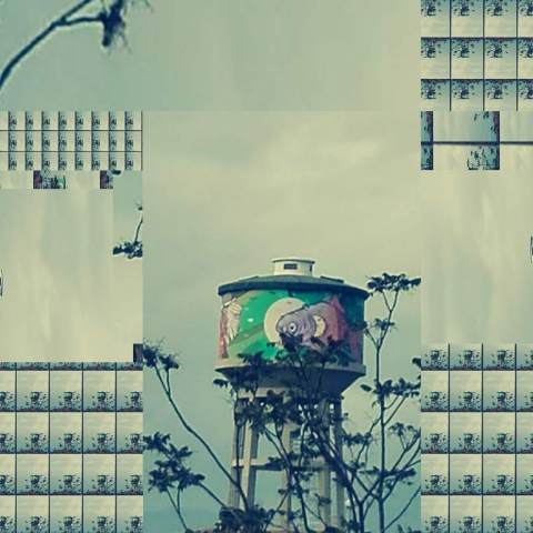 Industrial fish