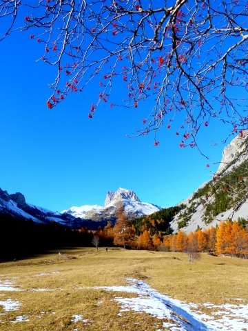 COLORI AUTUNNALI AL MONTE TABOR
