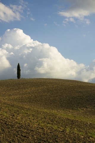 Panorama toscano autunnale · antonellaroma