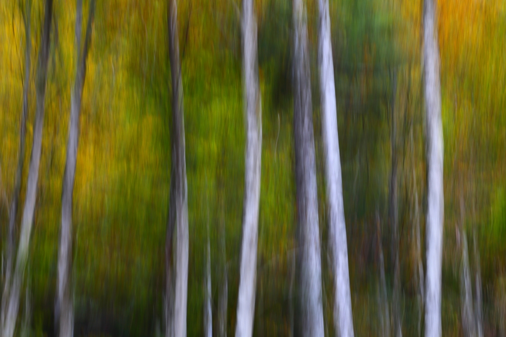 Autumn colors - I colori dell'autunno