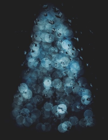 Christmas lights