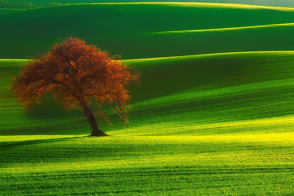 Naturale beltà