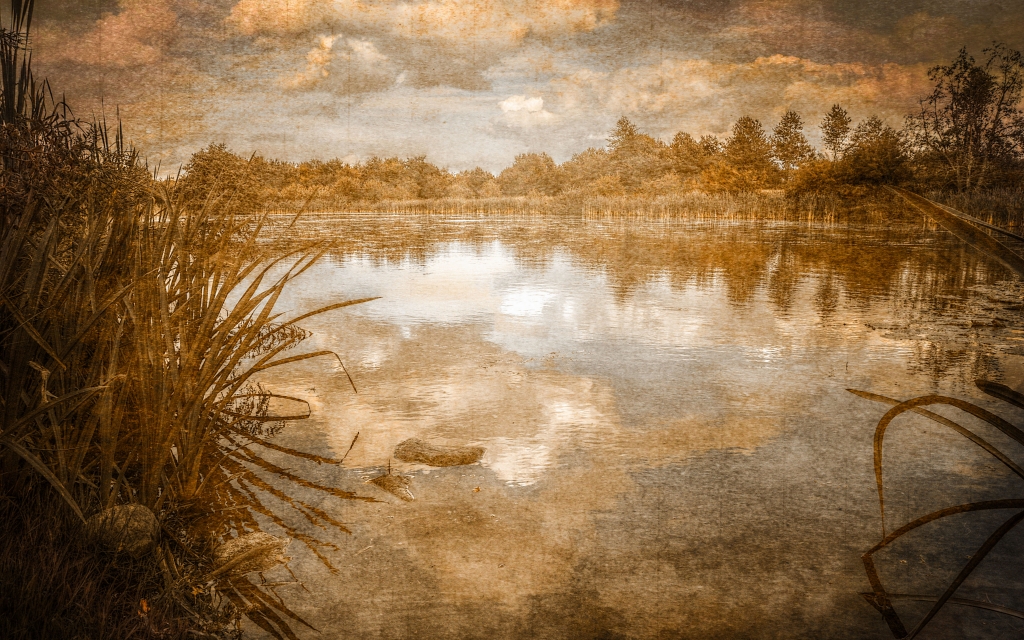 Lago Vintage