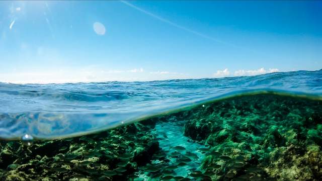 land and water