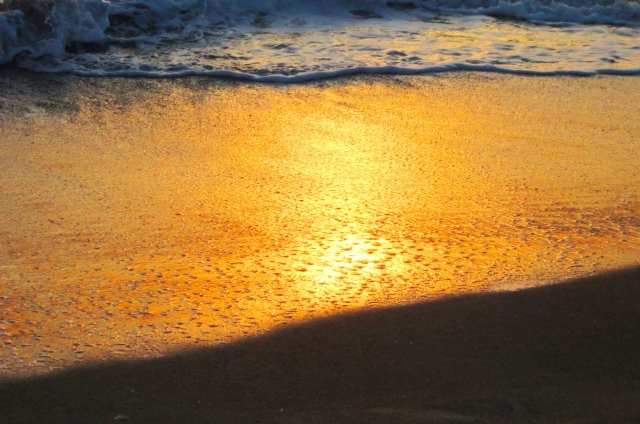 MARE DORATO