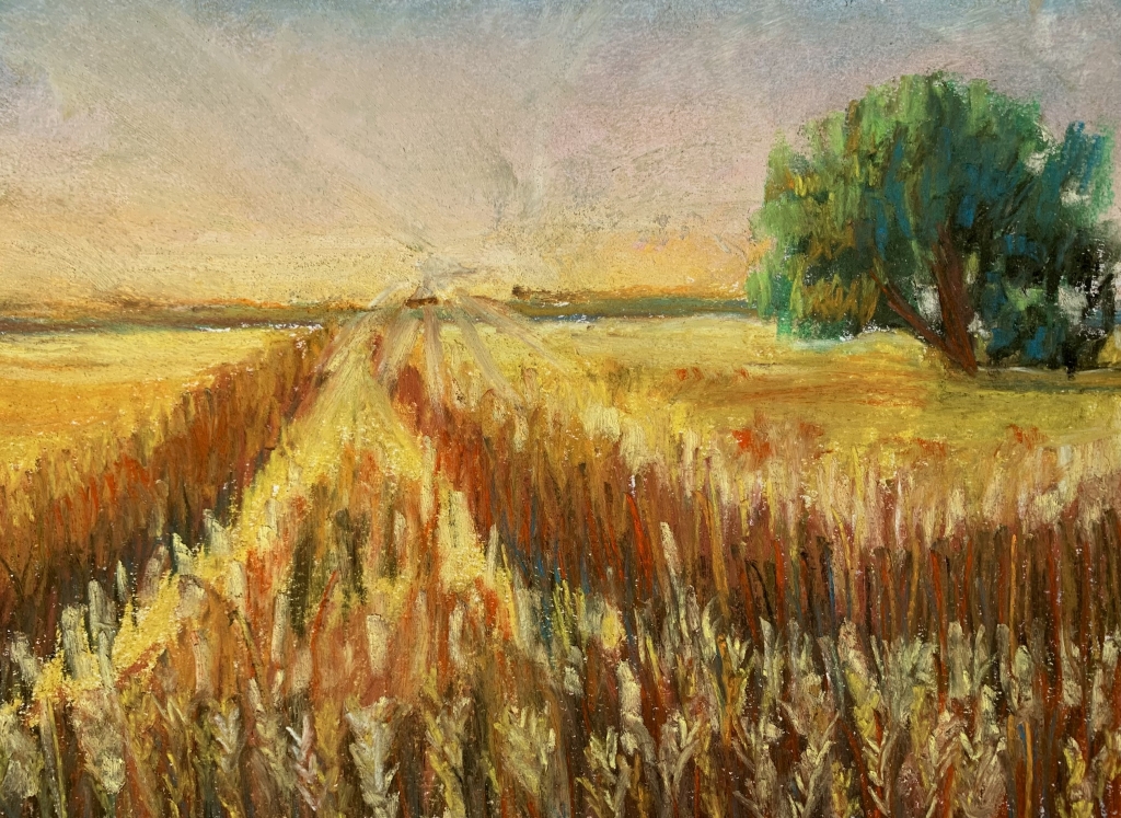 Campo di grano