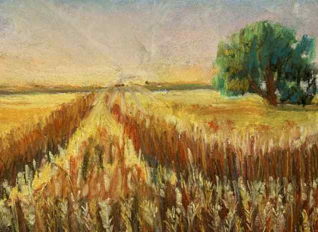 Campo di grano