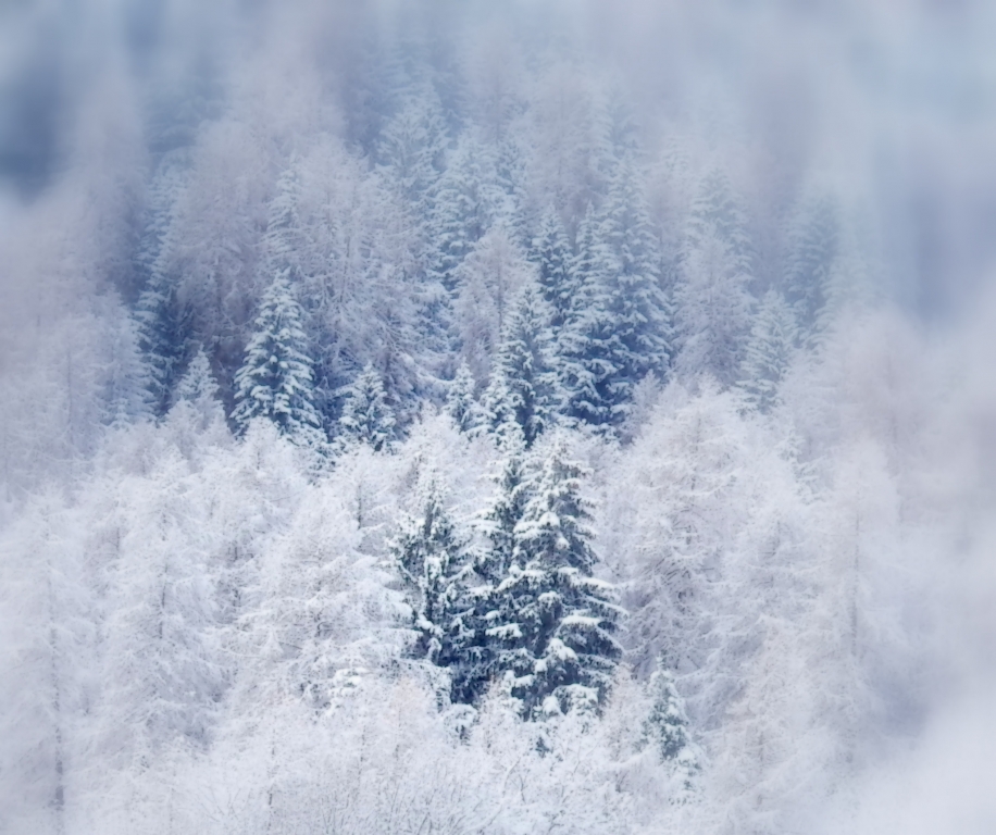 un bianco sogno