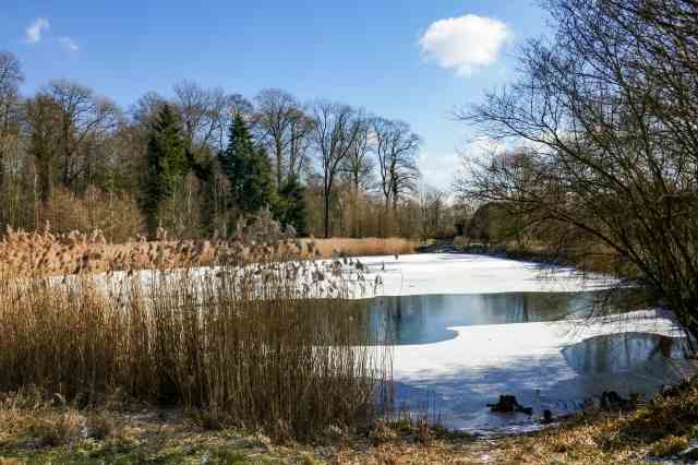Stagno in inverno