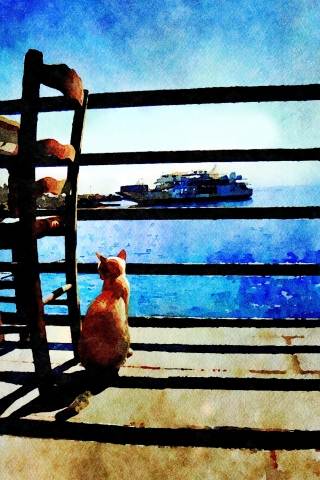 Cat and sea