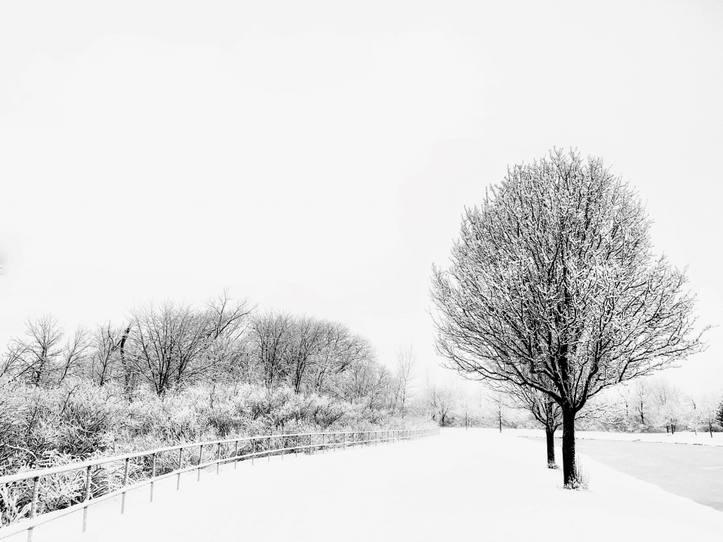 Minimalismo padano