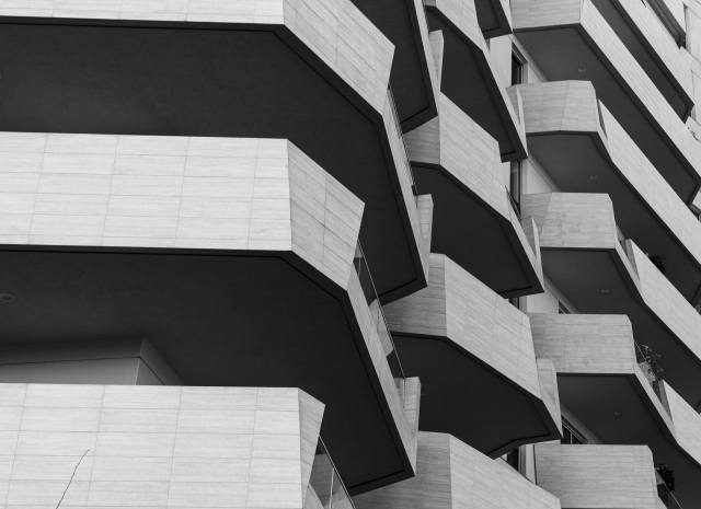Palazzi in bianco e nero