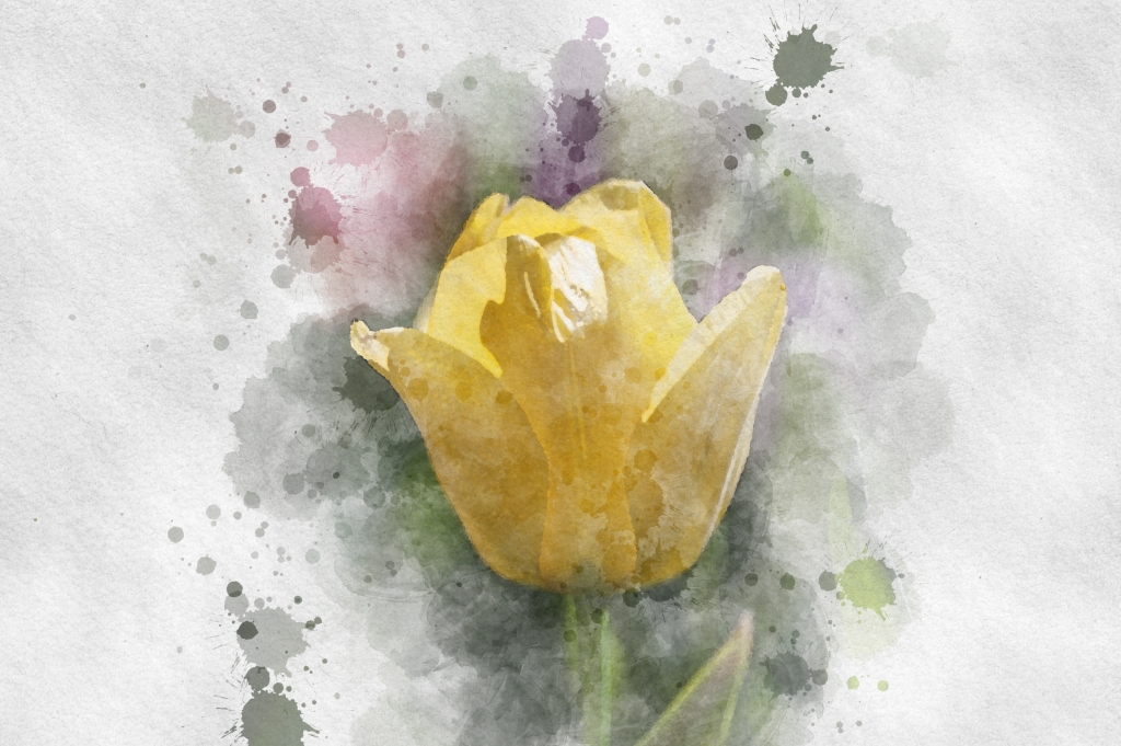Tulipano giallo, dipinto