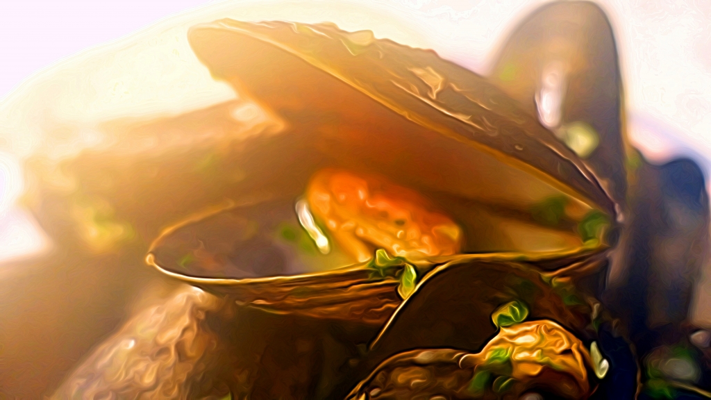mussels