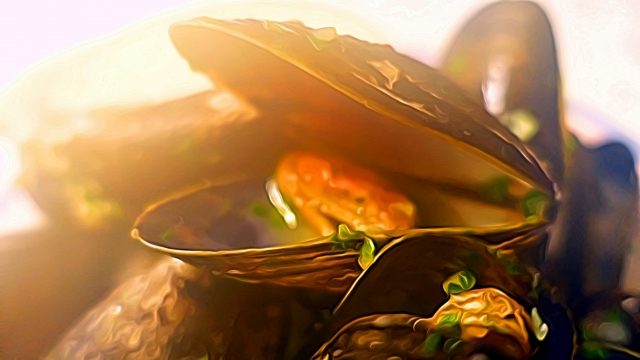 mussels