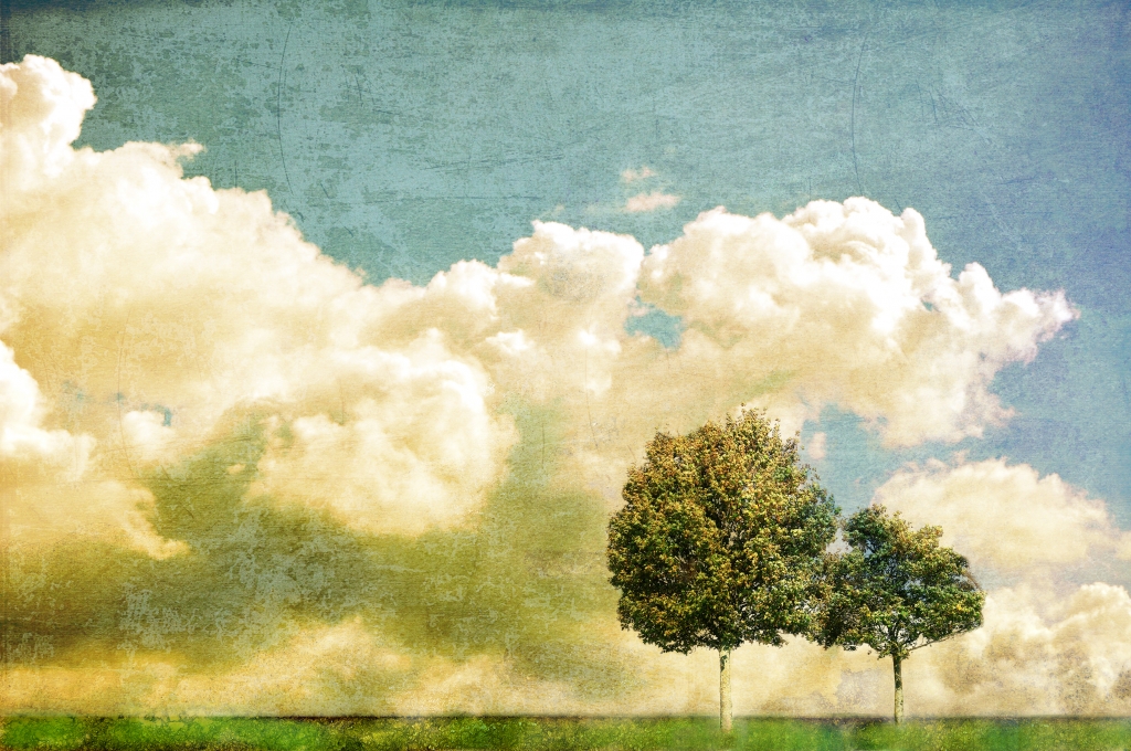 Coppia di alberi nella piatta campagna