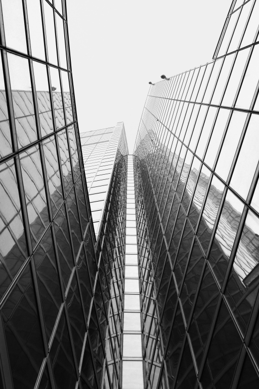 "Palazzo della Regione", 2013