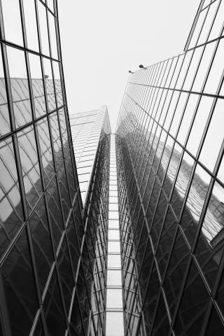"Palazzo della Regione", 2013