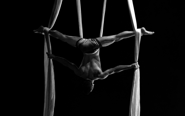 "Acrobata", 2012.