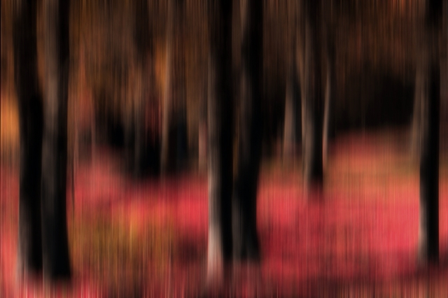 "Astratto Rosso", 2018
