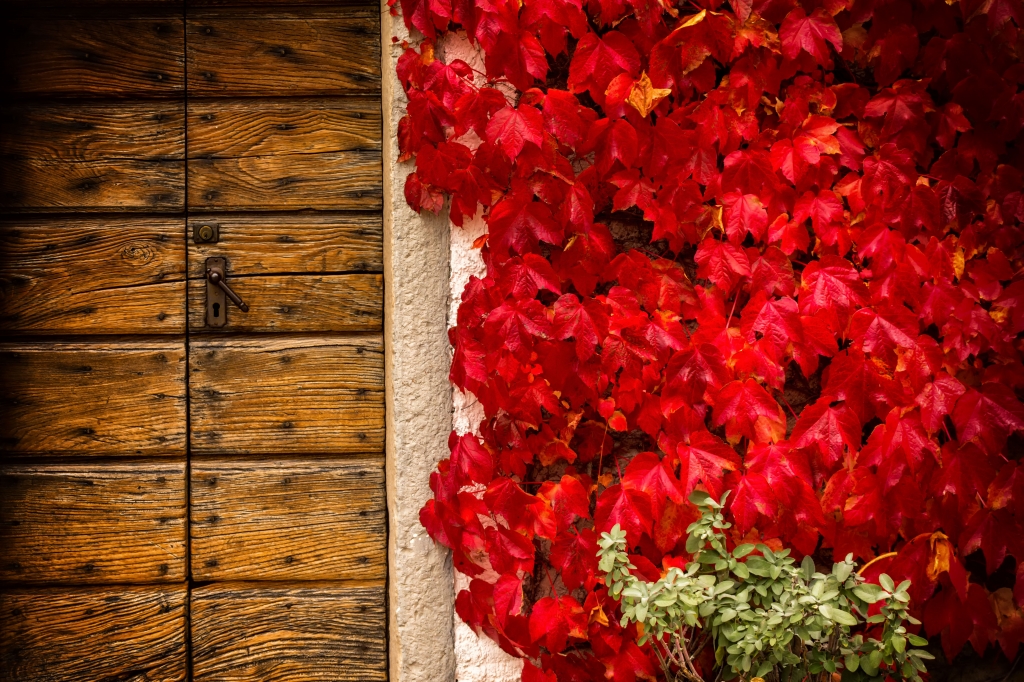 L'autunno è sulla porta
