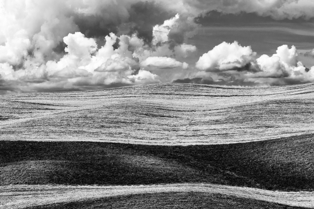 Waves of silence