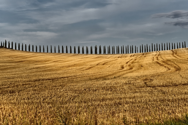 Waves of silence