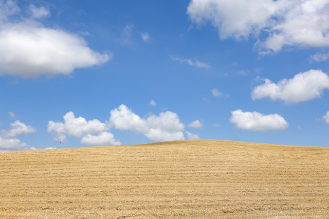 Terra e cielo