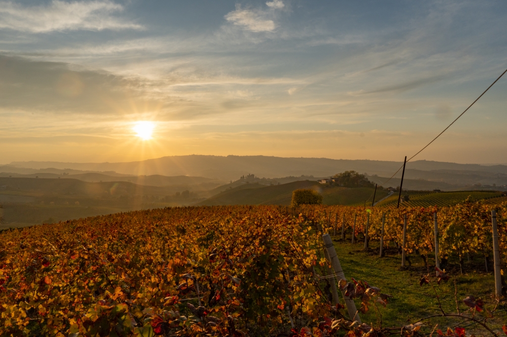Langhe