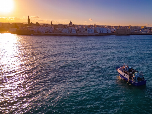 Monopoli dall'Alto: Città e Mare in Perfetta Armonia