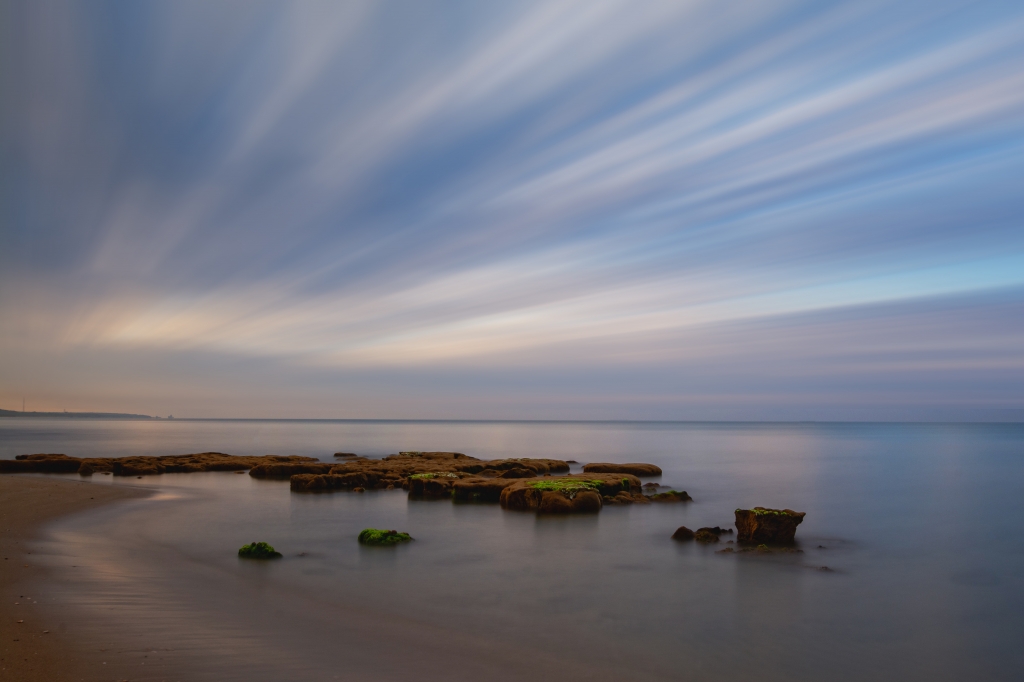 Mare