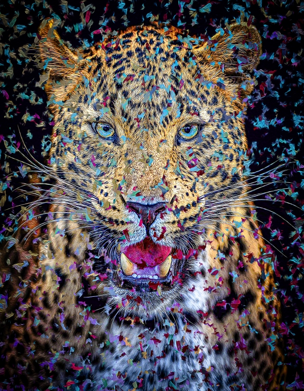 Felines - Leopard