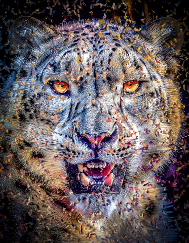Felines - Snow Leopard