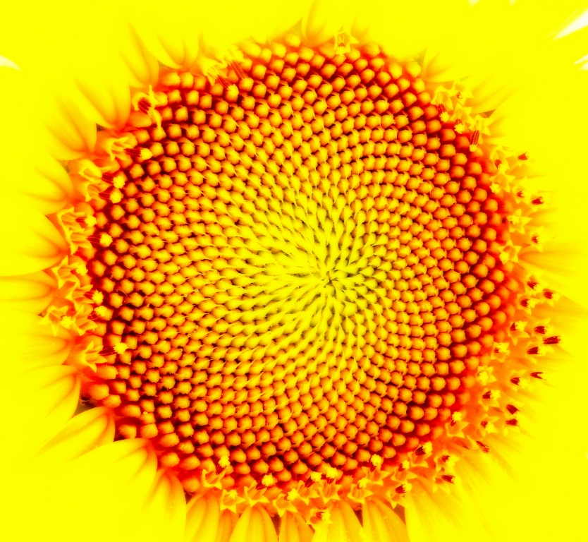soleil soleil
