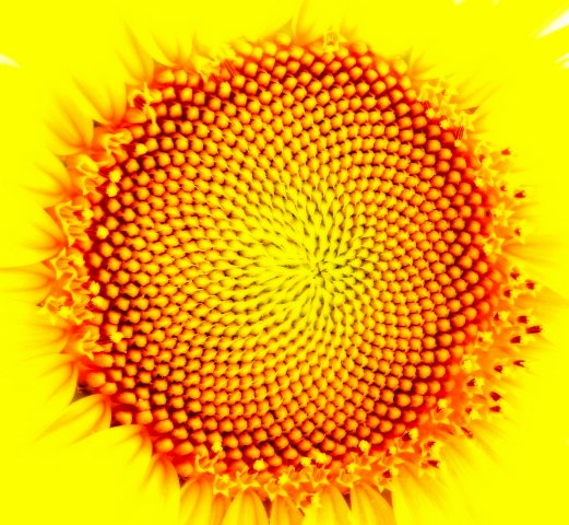 soleil soleil