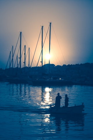 Tra gli alberi, sul mare