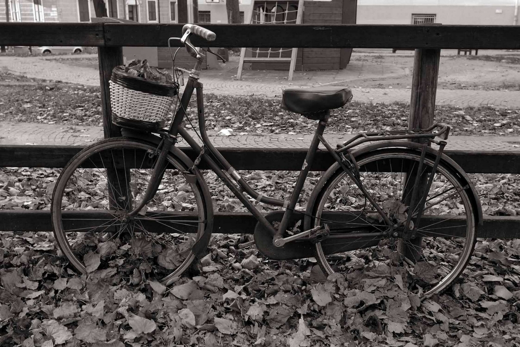 Stampe foto artistiche e poster d'autore con autunno, bicicletta, parco