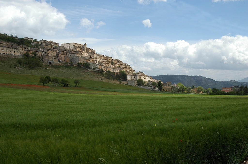 verdi campi sotto Navelli