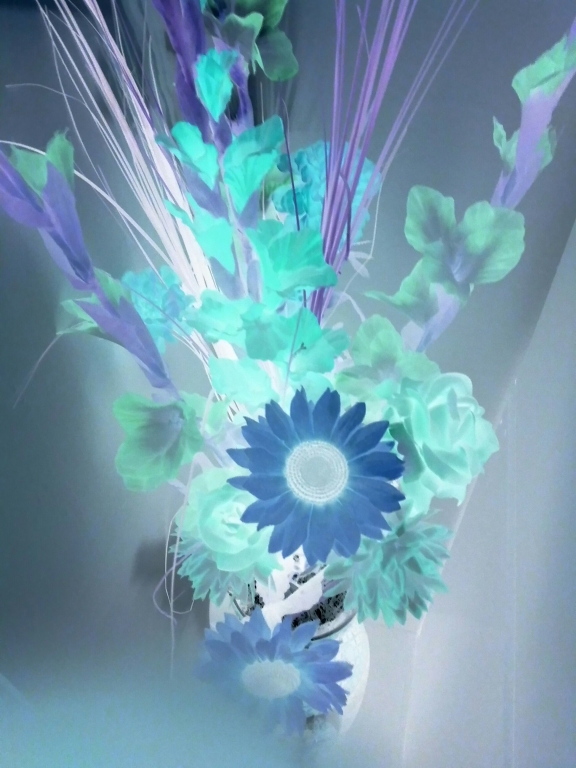 Fiori