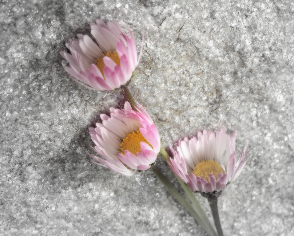 spring time