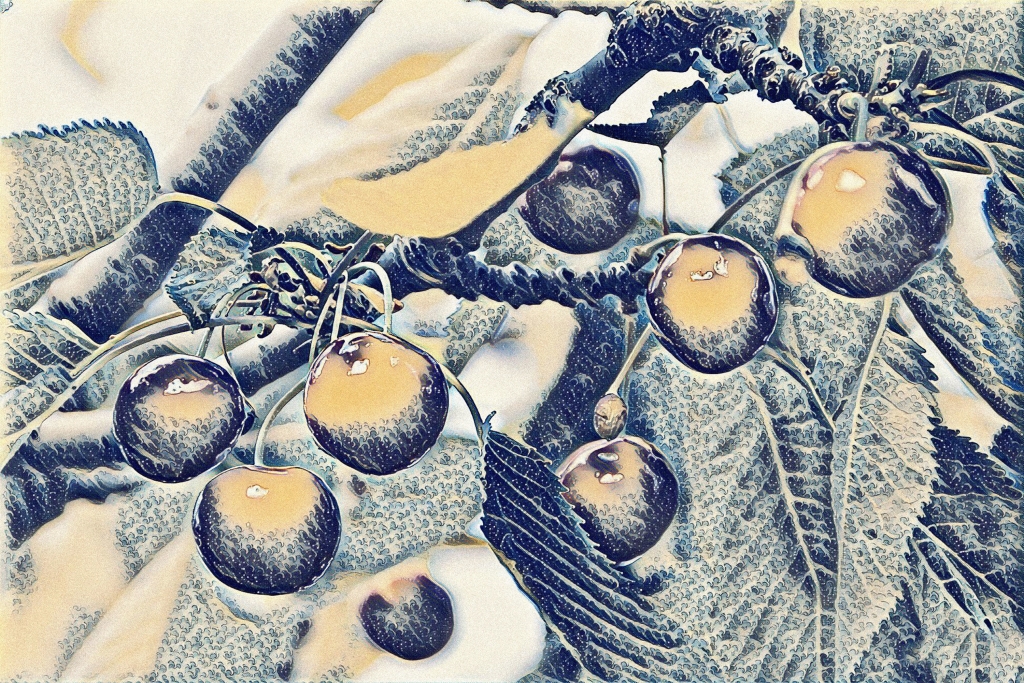 Natura #2
