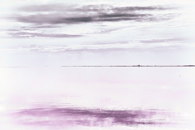 Dissolvenza · silbongia