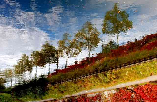 reverse · graziellataibi