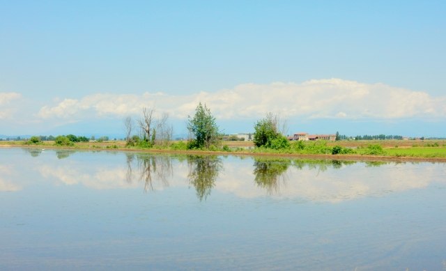 tutto fila liscio · graziellataibi