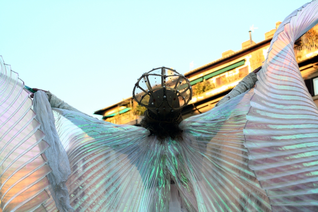 The Fly