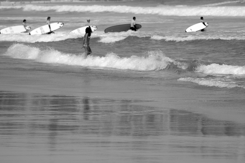 surfing