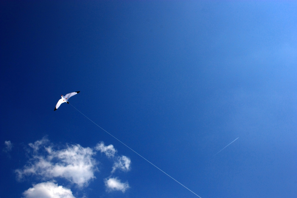 That rope that holds, but allows to fly
